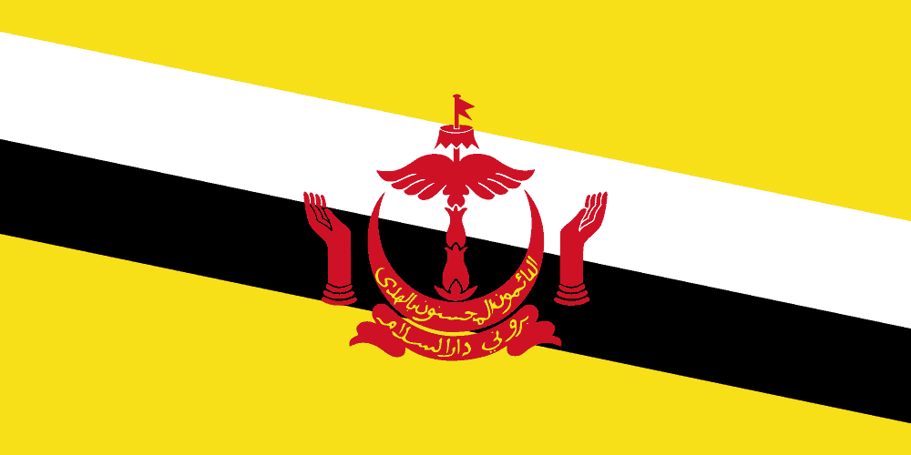 Brunei flag colored