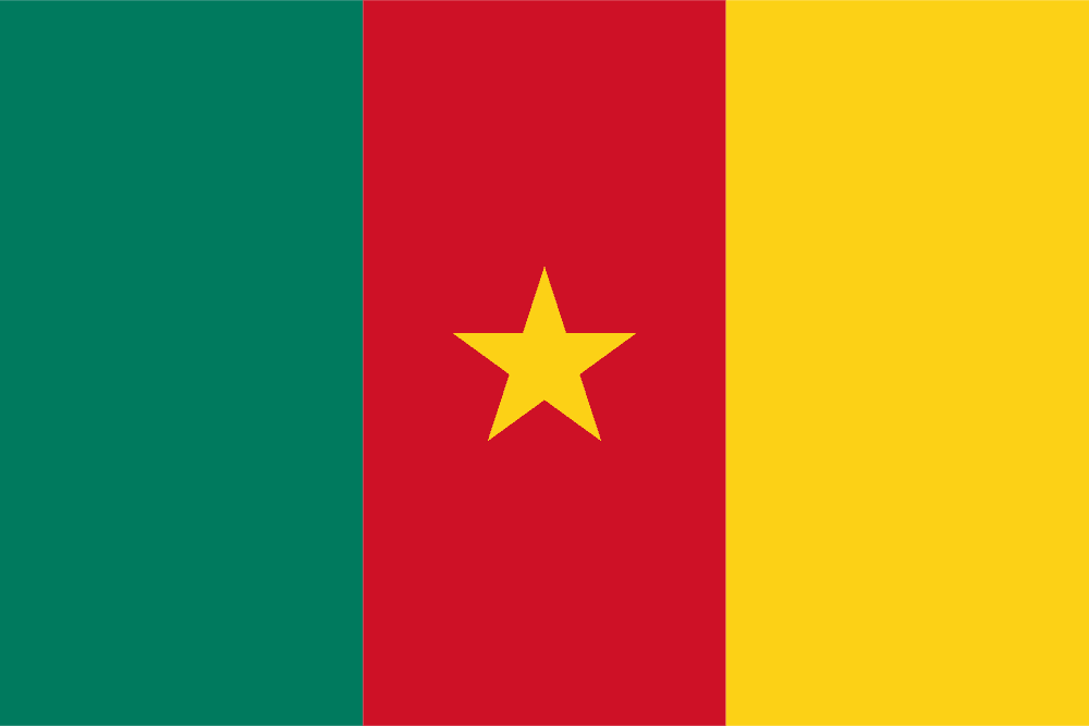 Cameroon flag colored