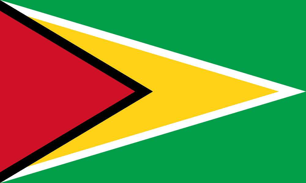 Guyana flag colored