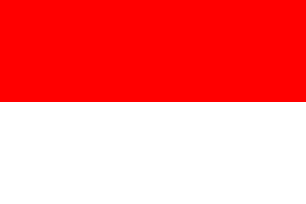 Indonesia flag colored