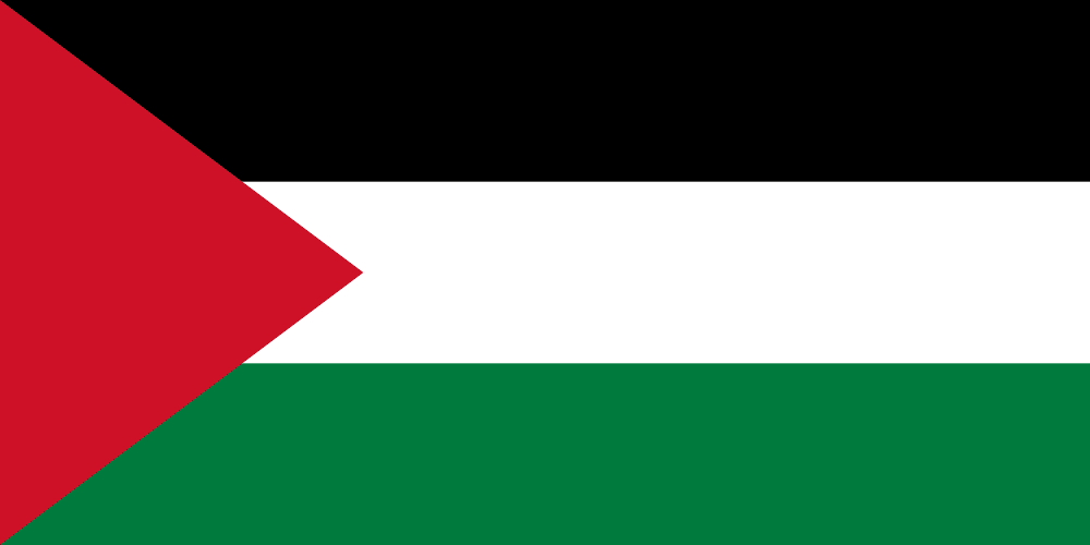 Palestine flag colored
